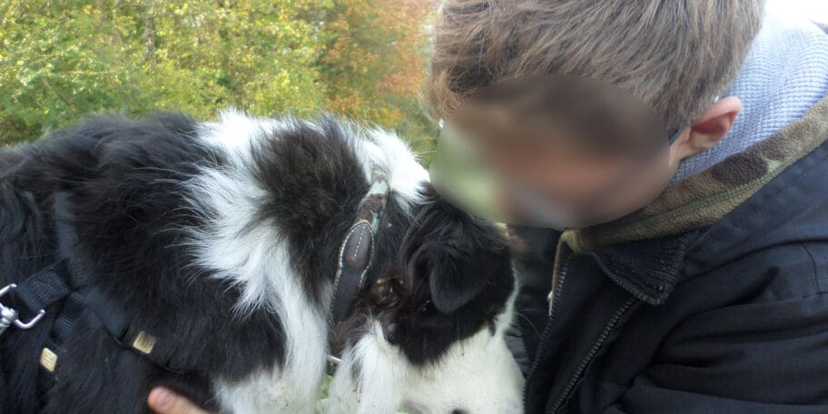 L&rsquo;accompagnement par la médiation de l&rsquo;animal