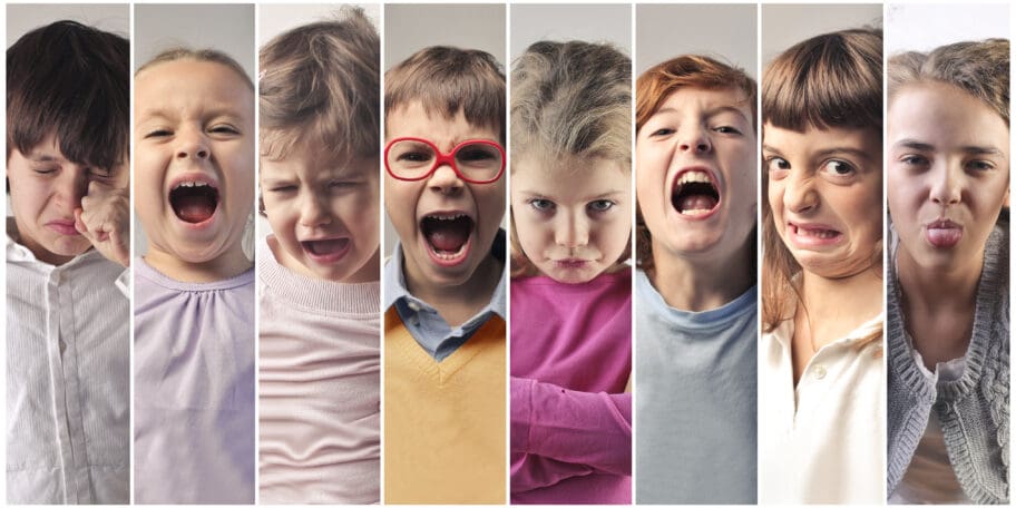 Les comportements-défis