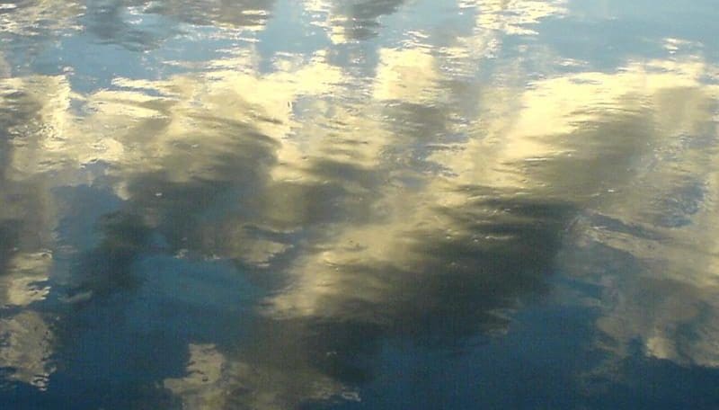 Ethique de la responsabilité, point de vue d’un père