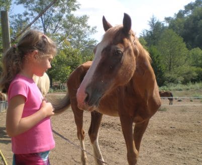 Les Interventions Assistées par l’Animal (I.A.A.)