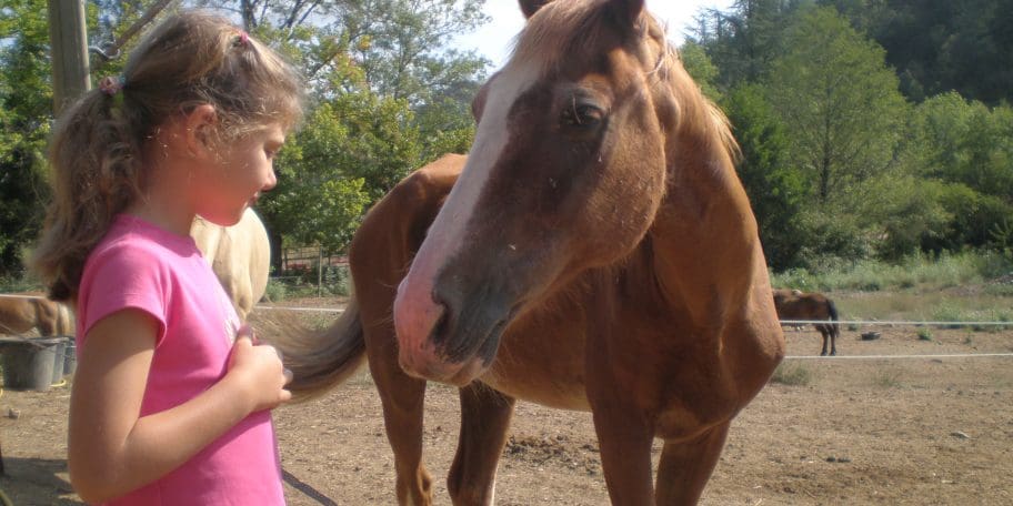 Les Interventions Assistées par l’Animal (I.A.A.)