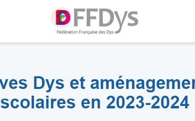 Enquête flash –  FFDys