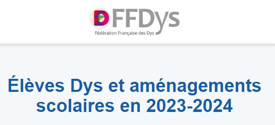 Enquête flash –  FFDys